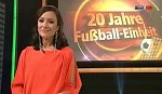mp_20jahrefussballeinheit_101121_074.jpg