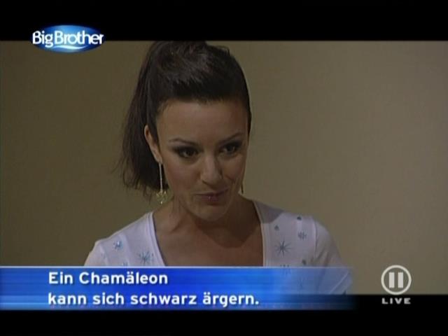 mp_bigbrother_080121_116.jpg
