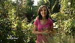 mp_insgruene_101010_033.jpg
