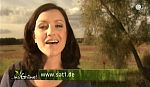 mp_insgruene_101031_033.jpg